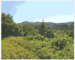  2024Ÿ15789  õ õ ⸮ 39      (1)