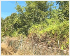  2024Ÿ15789  õ õ ⸮ 39      (1)