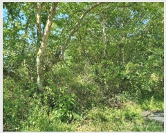  2024Ÿ15789  õ õ ⸮ 39      (1)