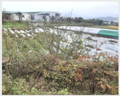  2024Ÿ��16942 ��� ��õ�� �ټ��� 390-1       ����(��)���