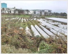  2024Ÿ��16942 ��� ��õ�� �ټ��� 390-1       ����(��)���