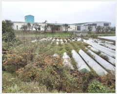  2024Ÿ��16942 ��� ��õ�� �ټ��� 390-1       ����(��)���