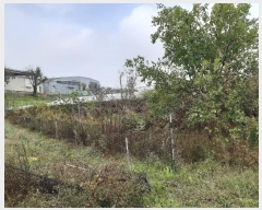  2024Ÿ��16942 ��� ��õ�� �ټ��� 390-1       ����(��)���