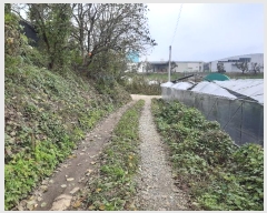  2024Ÿ��16942 ��� ��õ�� �ټ��� 390-1       ����(��)���