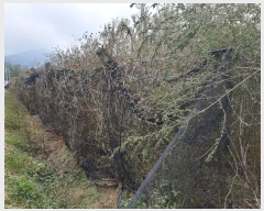  2024Ÿ��16942 ��� ��õ�� �ټ��� 390-1       ����(��)���