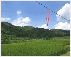  2024Ÿ17655  ̽ õ  22      (Ӿ)