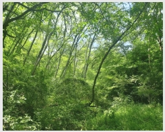  2024Ÿ17655  ̽ õ  22      (Ӿ)