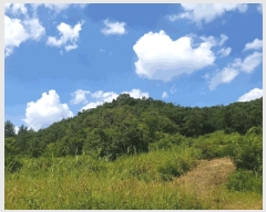  2024Ÿ17655  ̽ õ  22      (Ӿ)