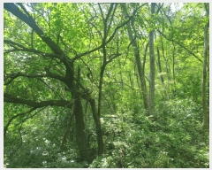  2024Ÿ17655  ̽ õ  22      (Ӿ)