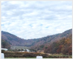  2024Ÿ17655  ̽ õ  22      (Ӿ)