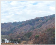  2024Ÿ17655  ̽ õ  22      (Ӿ)