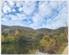  2024Ÿ17655  ̽ õ  22      (Ӿ)