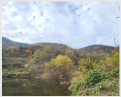  2024Ÿ17655  ̽ õ  22      (Ӿ)