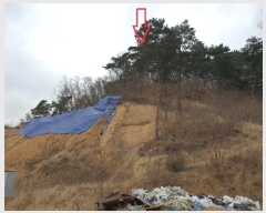  2024Ÿ18467  ̽  ȣ 11-14      (Ӿ)