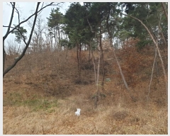  2024Ÿ18467  ̽  ȣ 11-14      (Ӿ)