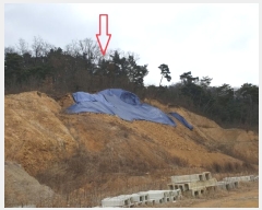  2024Ÿ18467  ̽  ȣ 11-14      (Ӿ)