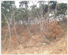  2024Ÿ18467  ̽  ȣ 11-14      (Ӿ)