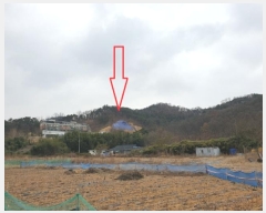  2024Ÿ18467  ̽  ȣ 11-14      (Ӿ)