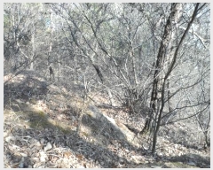  2024Ÿ��77 ��� ���̽� ��õ�� ��� ��1      ����(�Ӿ�)���