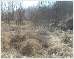  2024Ÿ��77 ��� ���̽� ��õ�� ��� ��1      ����(�Ӿ�)���