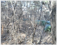  2024Ÿ��77 ��� ���̽� ��õ�� ��� ��1      ����(�Ӿ�)���