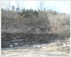  2024Ÿ��77 ��� ���̽� ��õ�� ��� ��1      ����(�Ӿ�)���