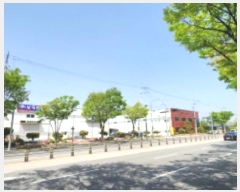  2024Ÿ923  ̽ ܵ 173       ()