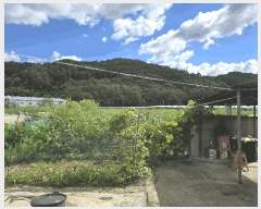  2024Ÿ2127  õ  ߿ո 481-2      ð