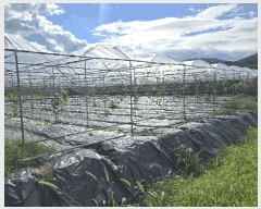  2024Ÿ2127  õ  ߿ո 481-2      ð