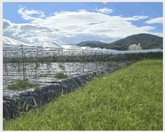  2024Ÿ2127  õ  ߿ո 481-2      ð