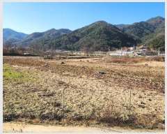  2024Ÿ3281  ̽  80-2       (1)