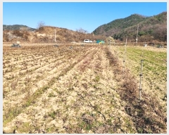  2024Ÿ3281  ̽  80-2       (1)