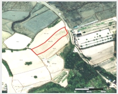  2024Ÿ3281  ̽  80-2       (1)