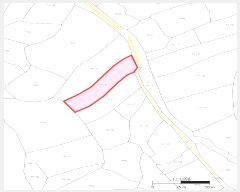  2024Ÿ3281  ̽  80-2       (1)