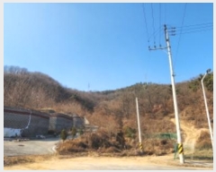  2024Ÿ3571  ̽ ǵ 98-1       (Ӿ)