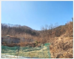  2024Ÿ3571  ̽ ǵ 98-1       (Ӿ)