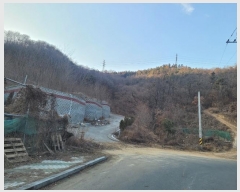  2024Ÿ3571  ̽ ǵ 98-1       (Ӿ)