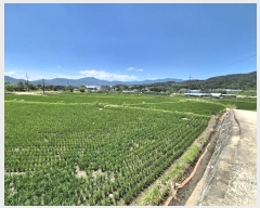  2024Ÿ��14182 ��� ��õ�� ���絿 143-56       ����(��)���