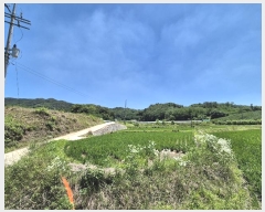  2024Ÿ��14182 ��� ��õ�� ���絿 143-56       ����(��)���