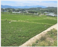  2024Ÿ��14182 ��� ��õ�� ���絿 143-56       ����(��)���