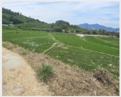  2024Ÿ��14182 ��� ��õ�� ���絿 143-56       ����(��)���