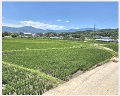  2024Ÿ��14182 ��� ��õ�� ���絿 143-56       ����(��)���