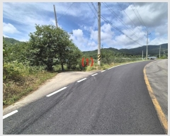  2024Ÿ14373  õ  ġ 429      (1)