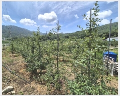  2024Ÿ14373  õ  ġ 429      (1)