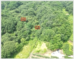  2024Ÿ14373  õ  ġ 429      (1)