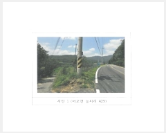  2024Ÿ14373  õ  ġ 429      (1)