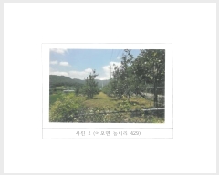  2024Ÿ14373  õ  ġ 429      (1)