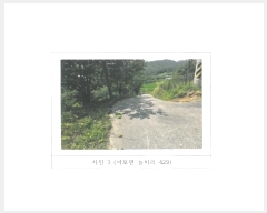  2024Ÿ14373  õ  ġ 429      (1)