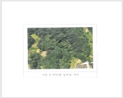  2024Ÿ14373  õ  ġ 429      (1)