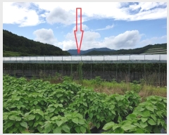  2024Ÿ��14830  �����